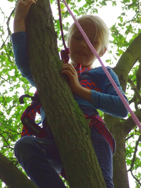 boomklimmen