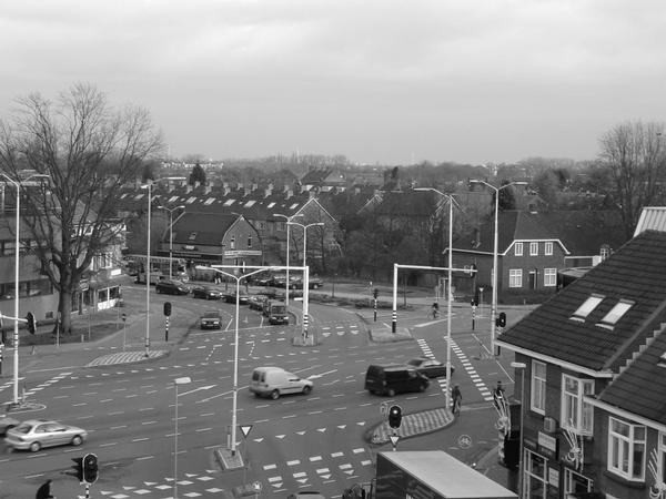Esdoorn Tongelre